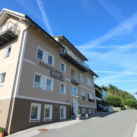 Apartments Luidold Шладминг Экстерьер фото
